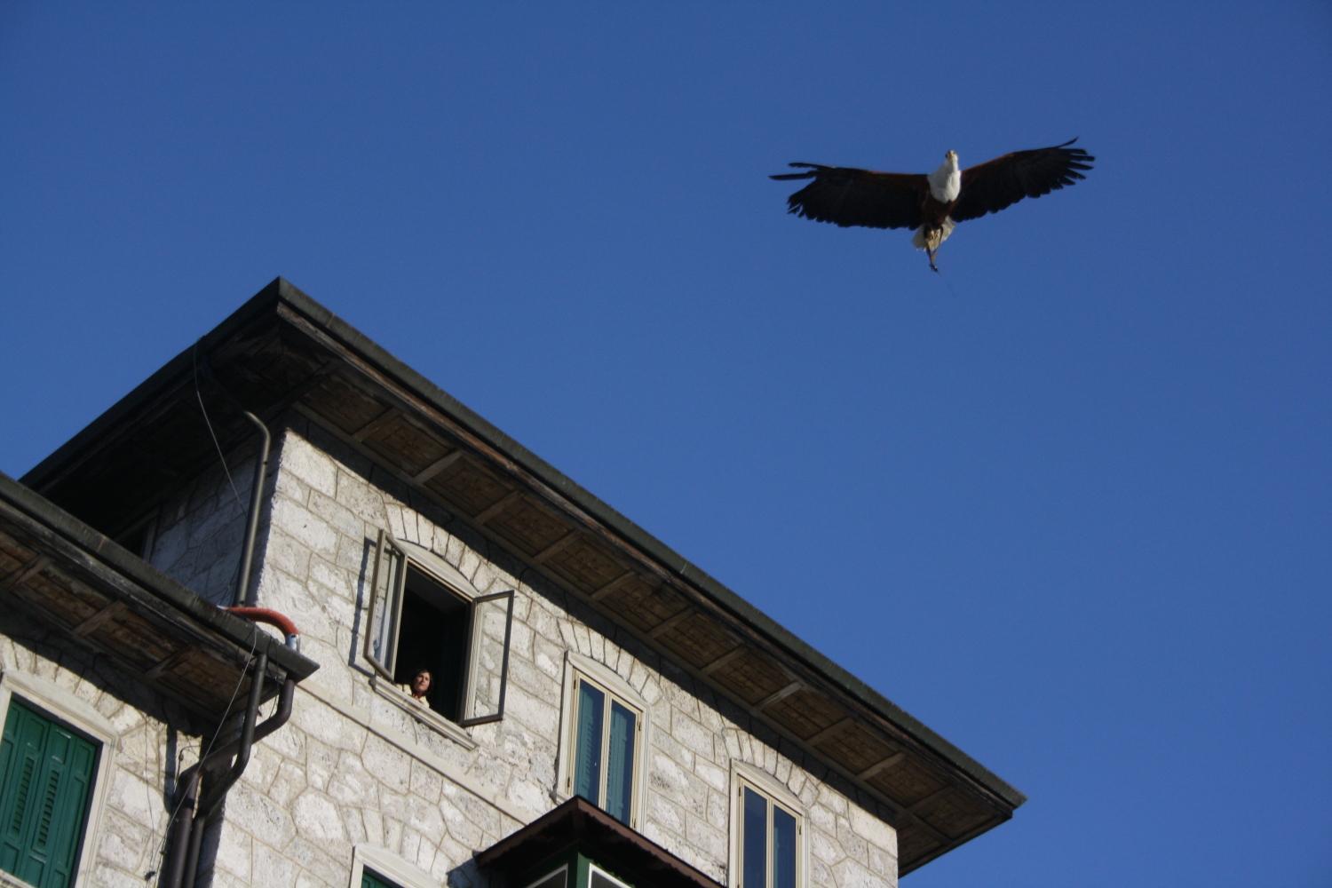 Th Borca Di Cadore - Park Hotel Des Dolomites Luaran gambar
