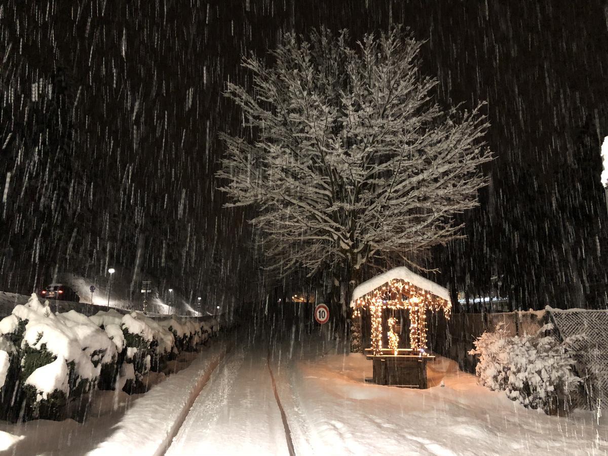 Th Borca Di Cadore - Park Hotel Des Dolomites Luaran gambar