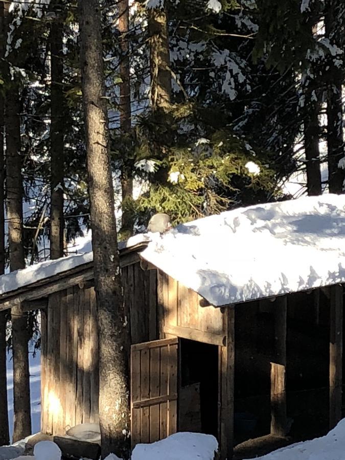 Th Borca Di Cadore - Park Hotel Des Dolomites Luaran gambar