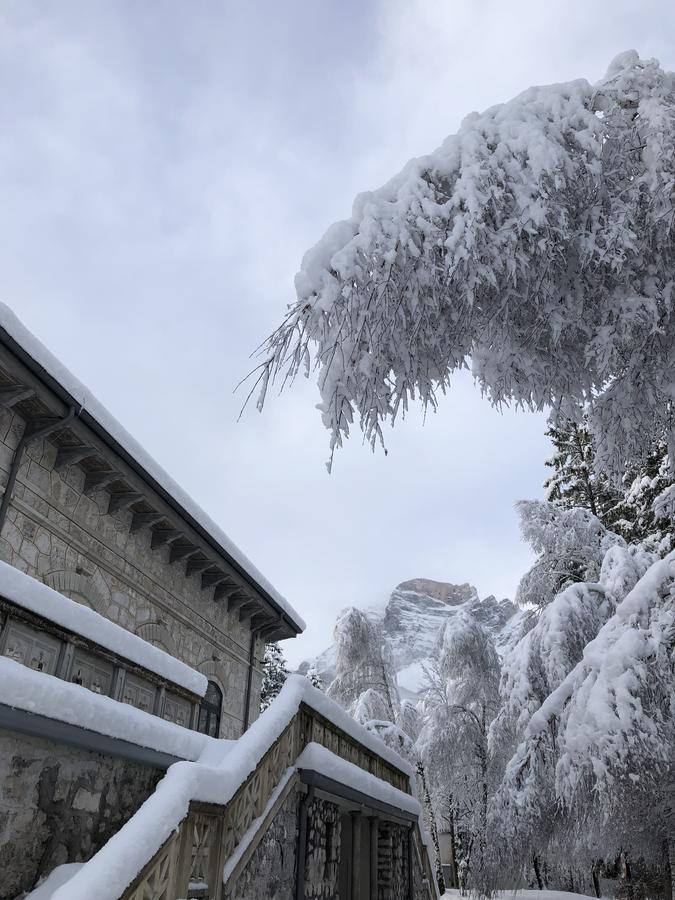 Th Borca Di Cadore - Park Hotel Des Dolomites Luaran gambar